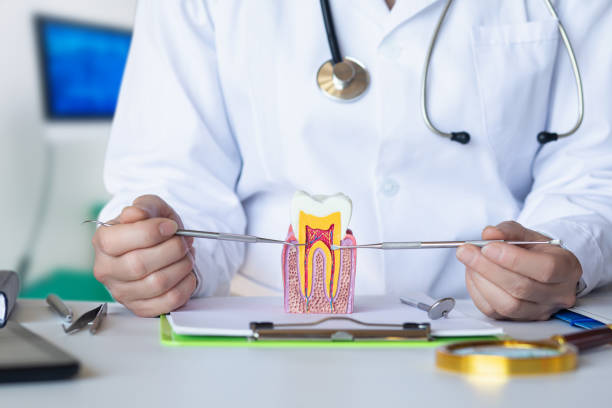Best Cosmetic Emergency Dentistry in Oakwood Hls, IL